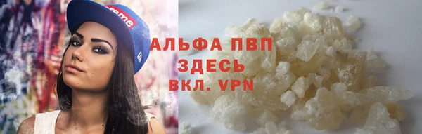 индика Алзамай