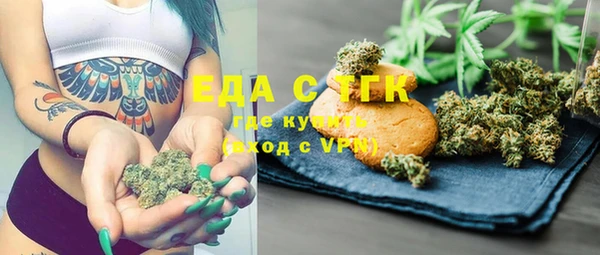 индика Алзамай