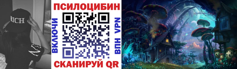 Галлюциногенные грибы Psilocybe  купить  цена  Архангельск 
